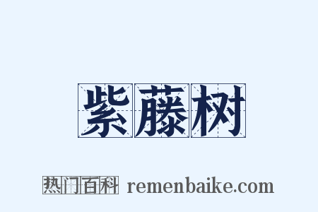 紫藤树是什么意思的图片